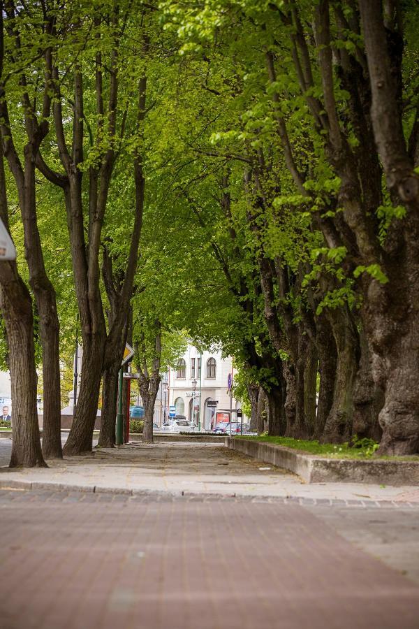 Апартаменти Dvieju Kambariu Butas Klaipedos Centre Клайпеда Екстер'єр фото